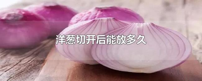 洋葱切开后能放多久 洋葱切开后能放多久