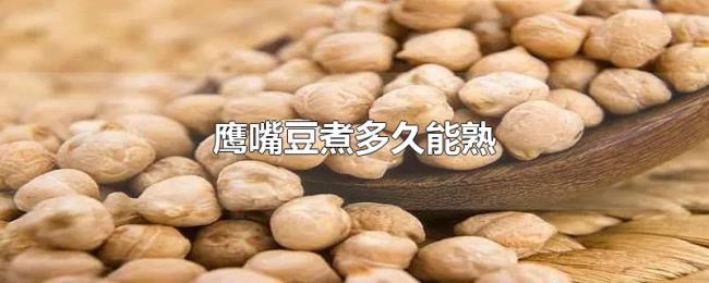 鹰嘴豆煮多久能熟
