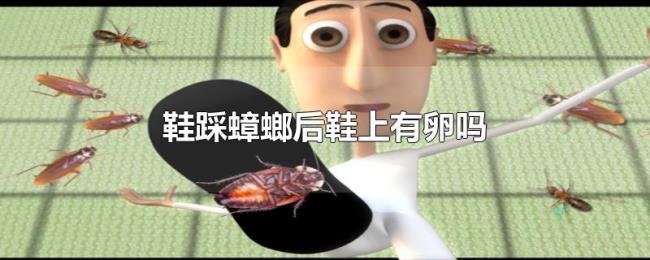 鞋踩蟑螂后鞋上有卵吗 鞋踩蟑螂后鞋上有卵吗