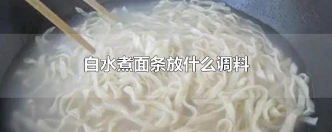 白水煮面条放什么调料 白水煮面条放什么调料