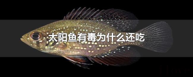太阳鱼有毒为什么还吃