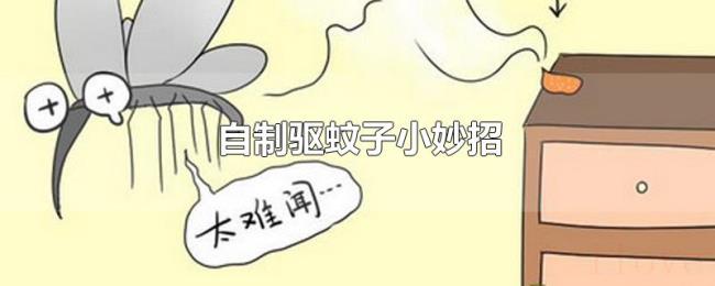 自制驱蚊子小妙招 自制驱蚊子小妙招