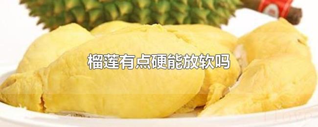 榴莲有点硬能放软吗 榴莲有点硬能放软吗