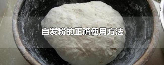 自发粉的正确使用方法 自发粉的正确使用方法