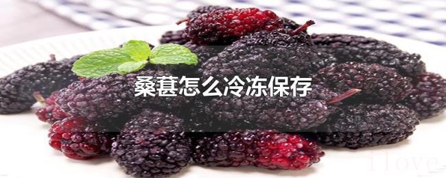 桑葚怎么冷冻保存 桑葚怎么冷冻保存