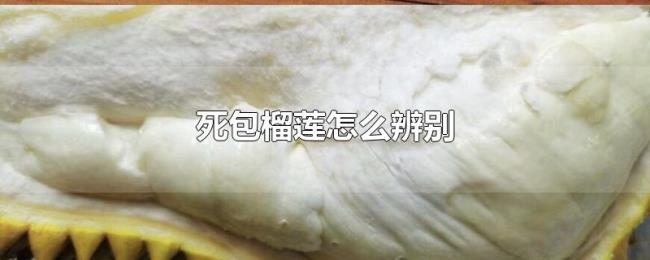 死包榴莲怎么辨别 死包榴莲怎么辨别