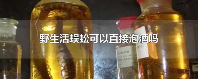 野生活蜈蚣可以直接泡酒吗