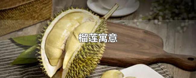 榴莲寓意 榴莲寓意