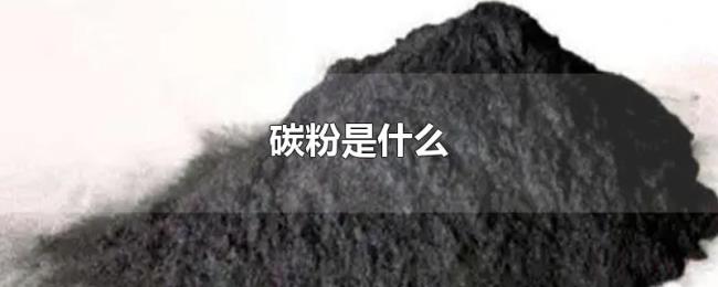 碳粉是什么 碳粉是什么