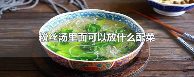粉丝汤里面可以放什么配菜 粉丝汤里面可以放什么配菜