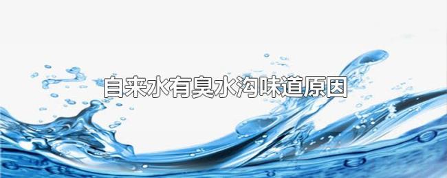 自来水有臭水沟味道原因 自来水有臭水沟味道原因