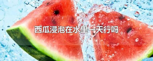 西瓜浸泡在水里一天行吗 西瓜浸泡在水里一天行吗