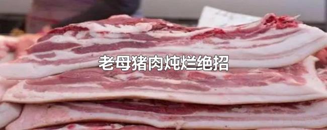 老母猪肉炖烂绝招