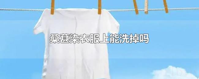 桑葚染衣服上能洗掉吗