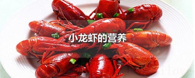 小龙虾的营养 小龙虾的营养