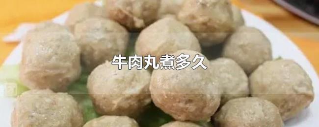 牛肉丸煮多久 牛肉丸煮多久