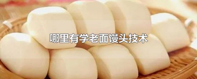 哪里有学老面馒头技术
