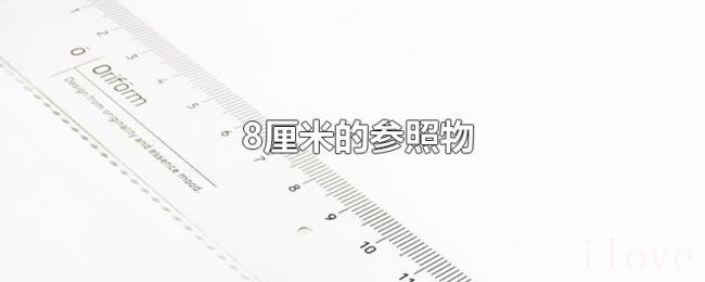 8厘米的参照物