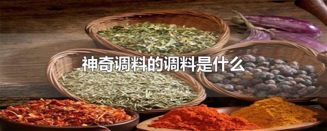 神奇调料的调料是什么 神奇调料的调料是什么