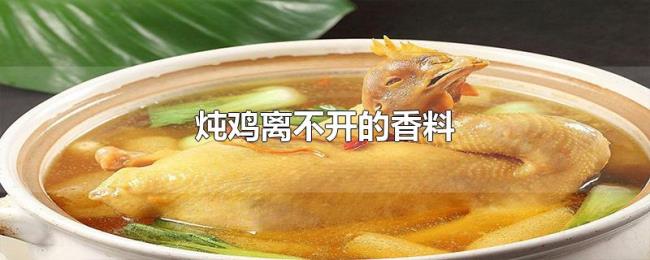 炖鸡离不开的香料