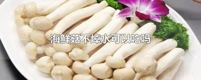 海鲜菇不焯水可以吃吗 海鲜菇不焯水可以吃吗