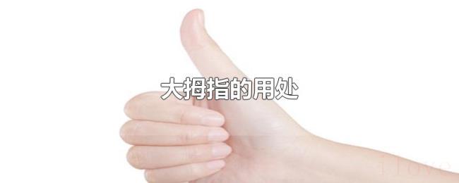 大拇指的用处 大拇指的用处
