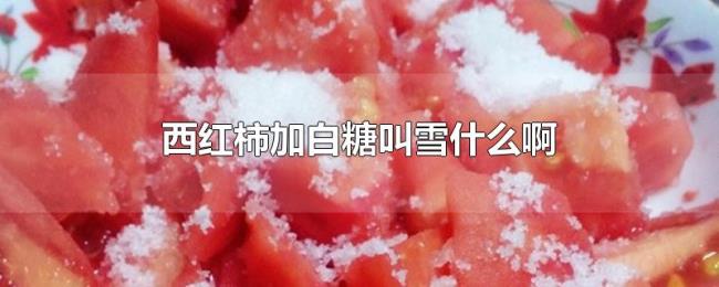 西红柿加白糖叫雪什么啊 西红柿加白糖叫雪什么啊