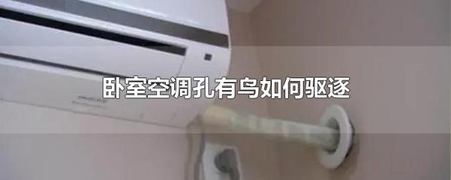 卧室空调孔有鸟如何驱逐