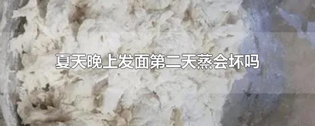 夏天晚上发面第二天蒸会坏吗