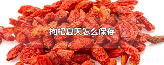 枸杞夏天怎么保存