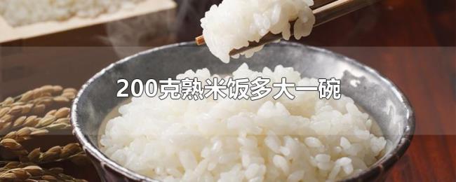 200克熟米饭多大一碗