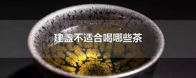 建盏不适合喝哪些茶