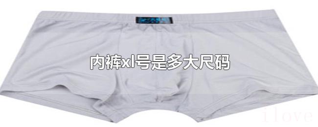 内裤xl号是多大尺码 内裤xl号是多大尺码