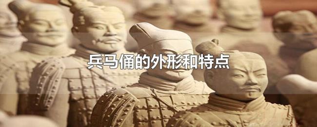 兵马俑的外形和特点 兵马俑的外形和特点