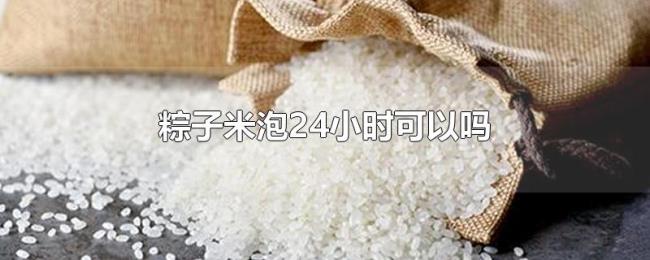 粽子米泡24小时可以吗 粽子米泡24小时可以吗