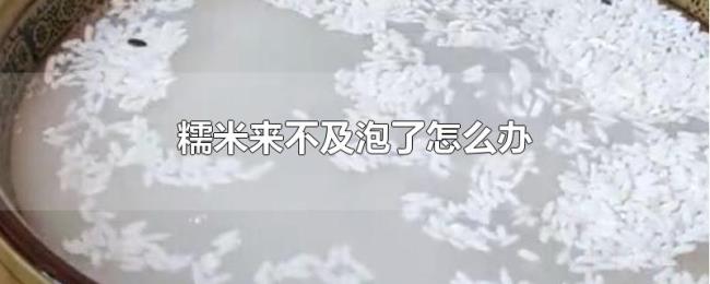 糯米来不及泡了怎么办 糯米来不及泡了怎么办