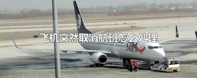 飞机突然取消航班怎么处理