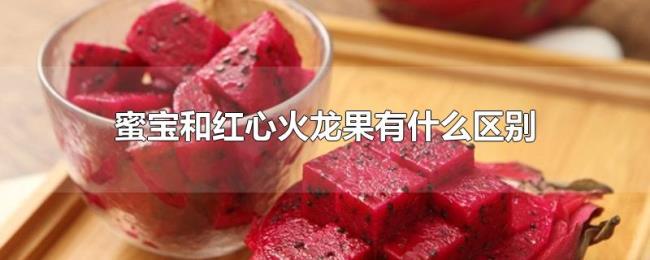 蜜宝和红心火龙果有什么区别