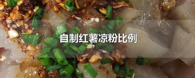 自制红薯凉粉比例 自制红薯凉粉比例