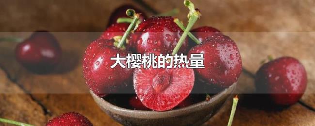 大樱桃的热量