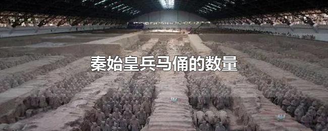 秦始皇兵马俑的数量