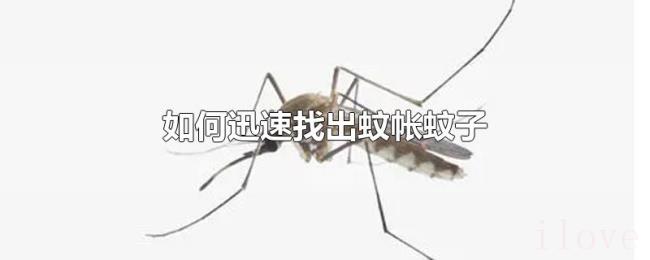 如何迅速找出蚊帐蚊子