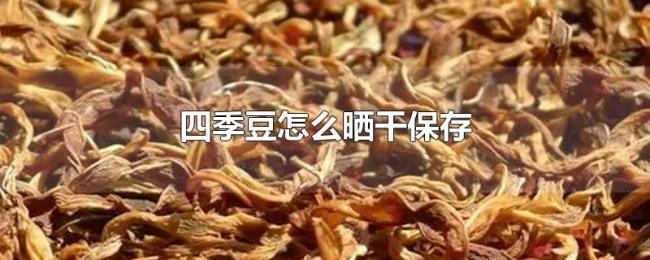 四季豆怎么晒干保存 四季豆怎么晒干保存