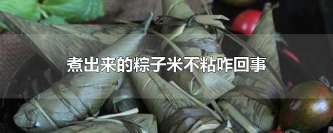 煮出来的粽子米不粘咋回事