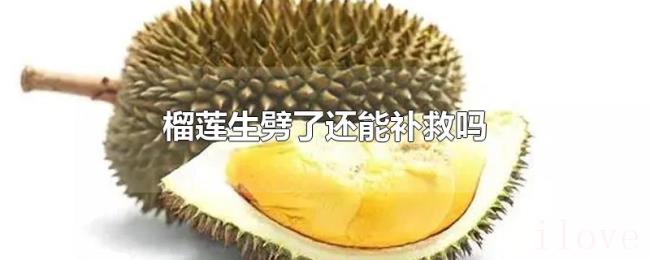 榴莲生劈了还能补救吗