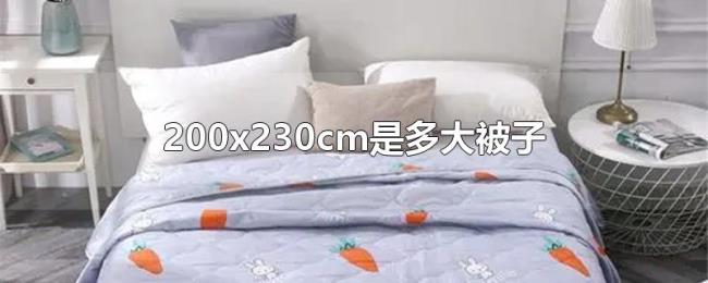 200x230cm是多大被子