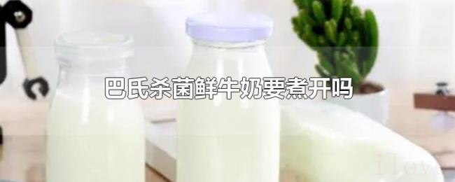 巴氏杀菌鲜牛奶要煮开吗 巴氏杀菌鲜牛奶要煮开吗