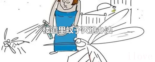 楼道里蚊子灭绝办法