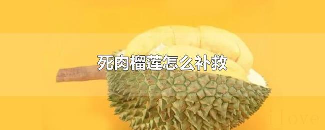 死肉榴莲怎么补救 死肉榴莲怎么补救