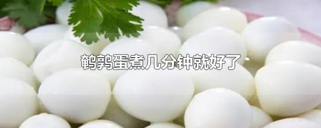 鹌鹑蛋煮几分钟就好了 鹌鹑蛋煮几分钟就好了